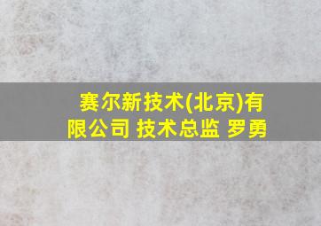 赛尔新技术(北京)有限公司 技术总监 罗勇